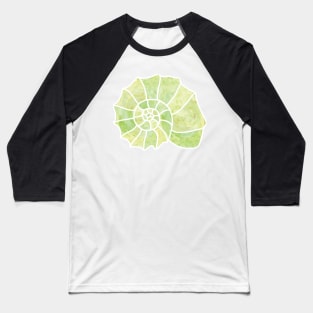 Conch Shell Baseball T-Shirt